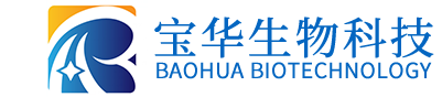 开云英超官网_开云online（中国）
